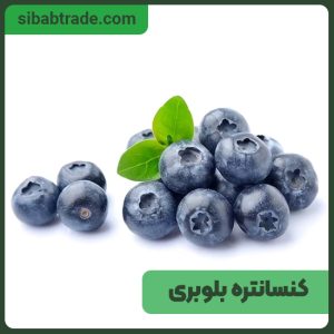 کنسانتره بلوبری