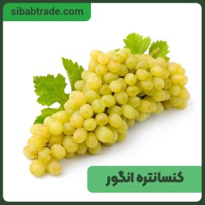کنسانتره انگور سفید
