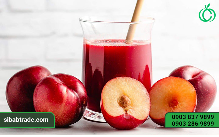 محصول کنسانتره آلو قرمز